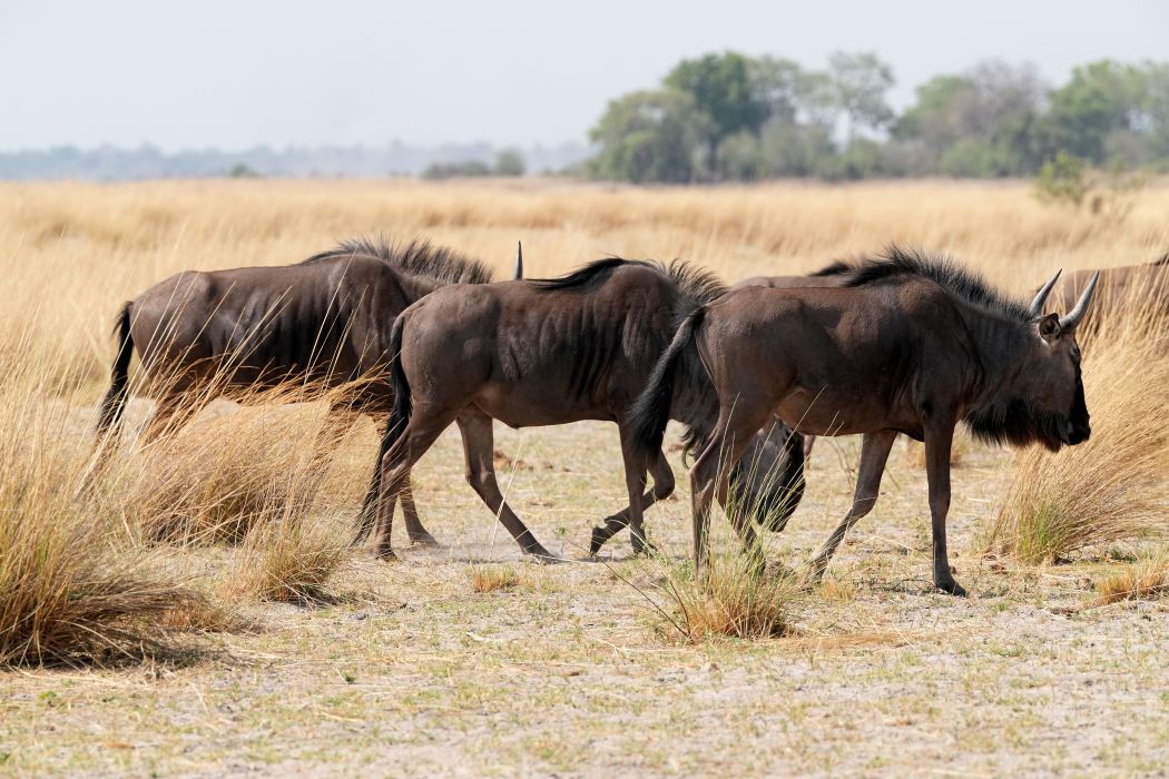 華山1914文化創意產業園區 | 去趣 chicTrip
