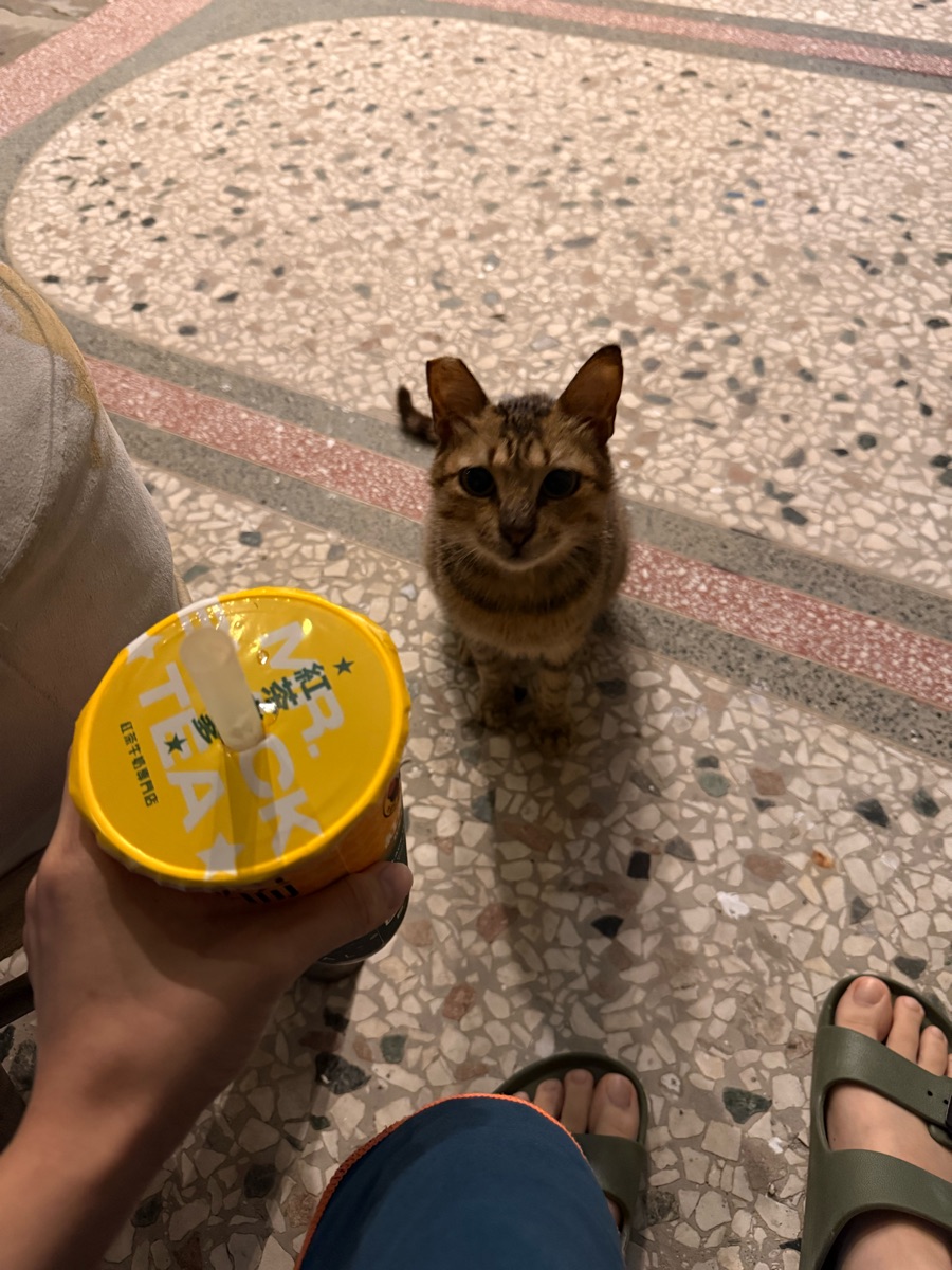 饒河街觀光夜市 | 去趣 chicTrip