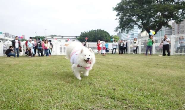 華山1914文化創意產業園區 | 去趣 chicTrip